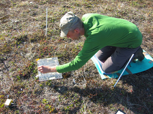 Professor Anders Michelsen from CENPERM undertaking vegetation analysis